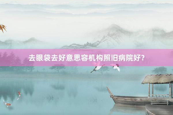 去眼袋去好意思容机构照旧病院好？